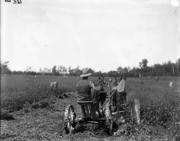Rear view of a man operating a horse-drawn McCormick mower through cutover land. In the field are many tree trunks. The field is surrounded by trees.