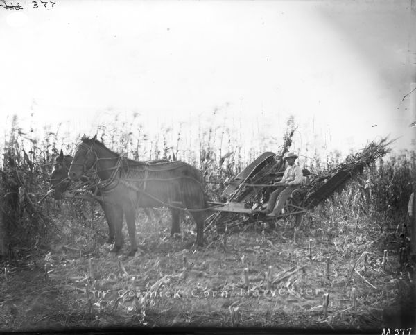 Man posing on a McCormick corn harvester (corn binder) pulled by two horses in a field of corn. Along the bottom is the text: "McCormick Corn Harvester," which is scratched into the surface of the glass plate.