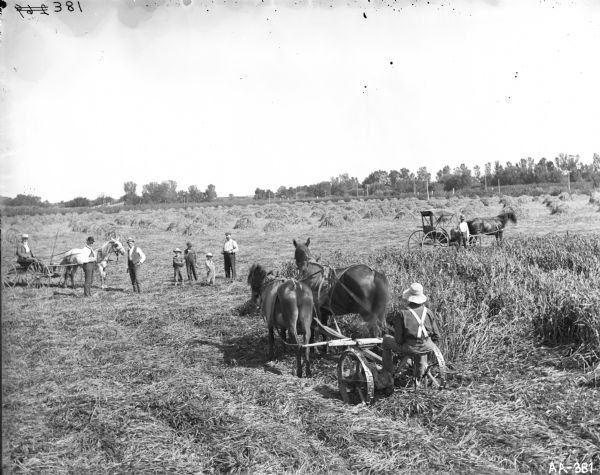 Elevated view of three young boys standing in a field with men who are posing near horse-drawn carriages. There are many piles of cut grain in the field. A man in the foreground is on a mower pulled by two horses.