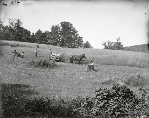 One man is operating a grain binder pulled by two horses, while three other men and a boy are working in the field near him. One man is holding a cradle used to cut grain.