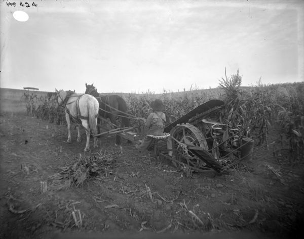 View towards a young boy operating a corn binder pulled by two horses. The binder is moving along a row of corn. An empty carriage or buggy is sitting in a field in the background.
