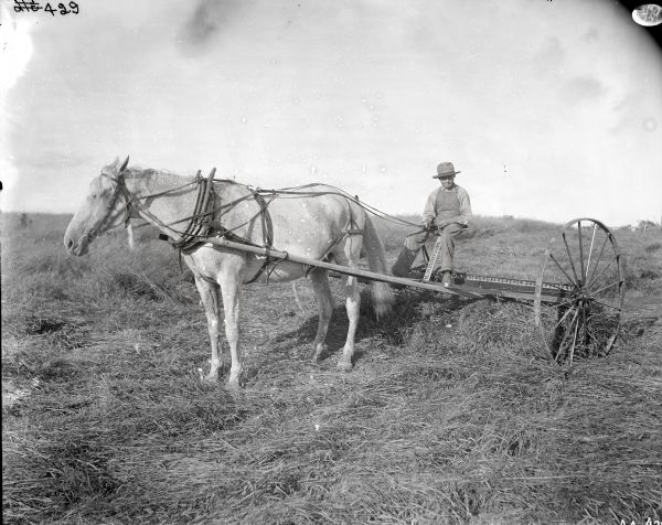 Left side view from front of a young man on a horse-drawn McCormick mower (or dump rake) in a field.