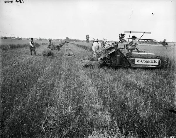 View down mowed section of field, with a young boy on the right operating a horse-drawn McCormick grain binder. Two men are working in the field gathering grain into piles. Farm buildings are in the far background.