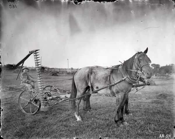 Young boy posing on a mower pulled by two horses in a field.