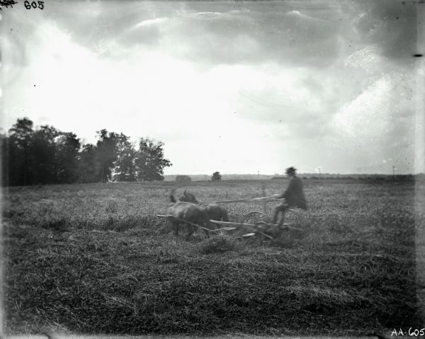 Man operating a horse-drawn mower in a field of grass. There is a treeline on the left. The men and horses are blurred, indicating that the mower was in motion.