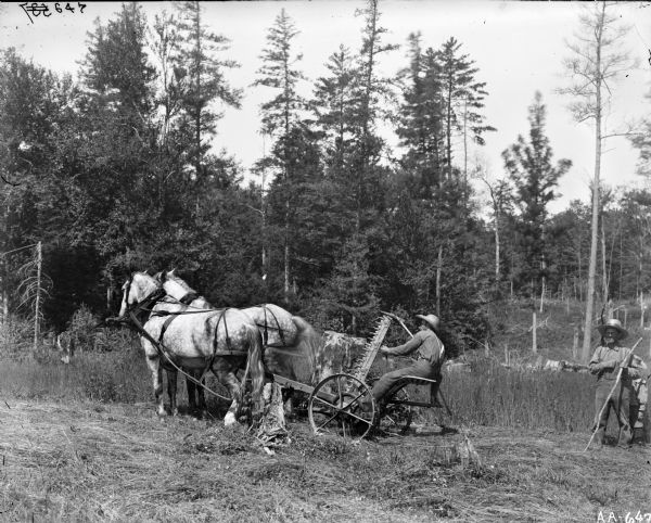 A man is operating a mower pulled by two horses near the edge of a field. The sickle bar on the mower is drawn up. Another man is standing on the right behind him holding a walking stick, and a child is standing close behind him.