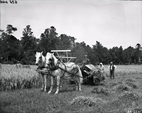 A man is operating a horse-drawn grain binder in a field near some trees. A woman in a bonnet and a man with his hands on hips are standing behind the binder. Small piles of grain are lying in the field. A boy is standing in the background on the left.