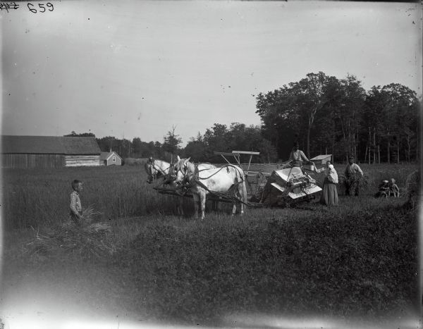 A group of people are posing around a man operating a horse-drawn McCormick grain binder in a field. In the background are farm buildings and several trees. A woman holding a small child is handing the man operating the binder a bucket. A man is working behind the binder and holding two bundles of grain. Two boys and a girl are sitting on the ground in the field. A slightly older boy is standing on the left.