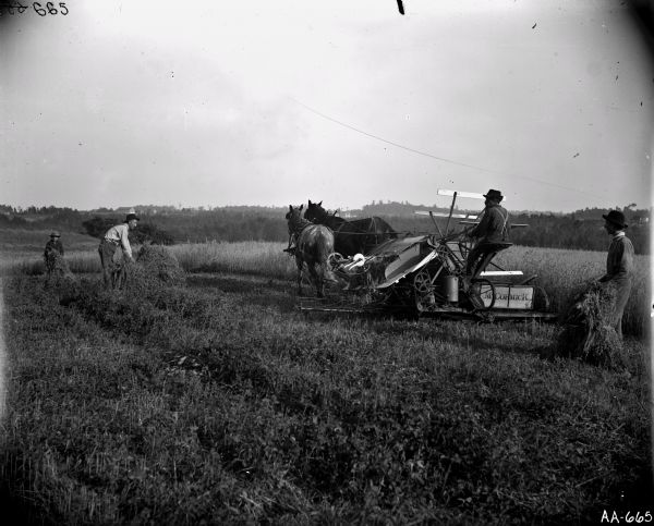 Four men harvesting grain in a field. One man is operating a McCormick grain binder pulled by two horses. Three other men are manually gathering the cut grain. Farm buildings and trees are in the far background.