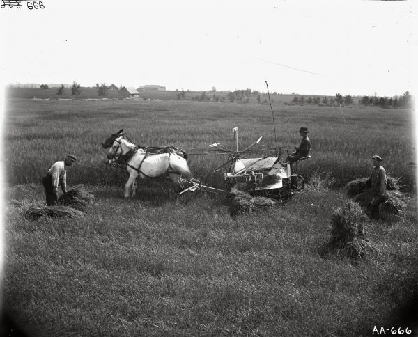 Elevated view of three men harvesting grain. One of the men is operating a horse-drawn grain binder. Two other men gather and pile grain. In the background are trees and several farm buildings.