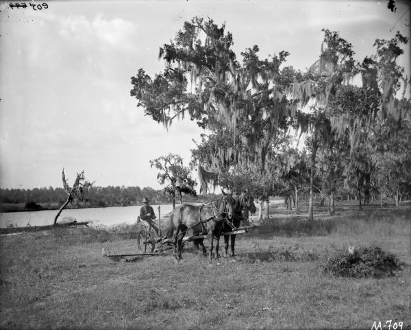 A man is operating a horse-drawn mower in what appears to be a setting in the deep south, with Spanish moss hanging from the Cyprus trees and a body of water in the background.