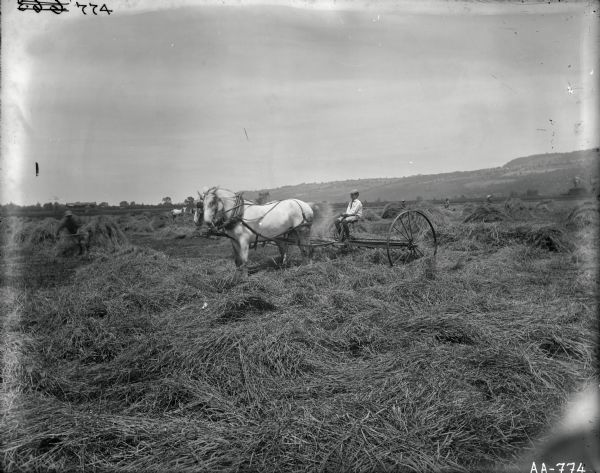 A young man is operating a horse-drawn hay rake in a field, while other men are raking by hand. There are large piles of hay scattered in the field. In the far background is a ridge or mountain.