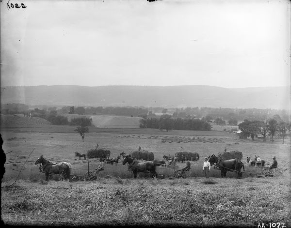 Several men in a field harvesting hay with horses, mowers and wagons.