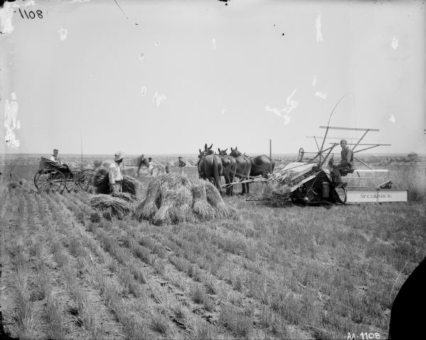 Men working in a field with a horse-drawn McCormick grain binder. A man is sitting nearby in a horse-drawn carriage.