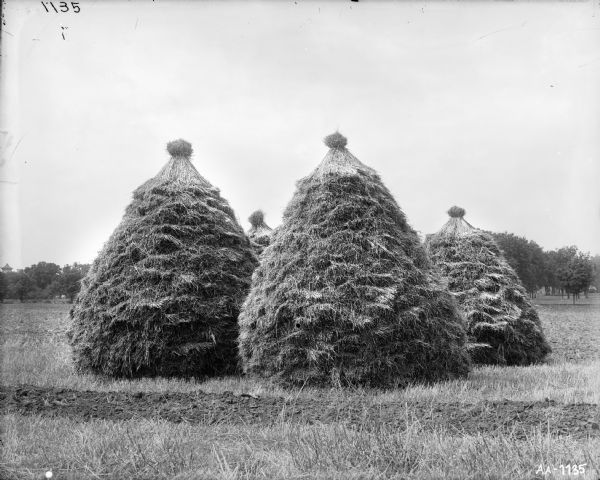 Group of haystacks in a field.