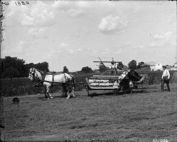 Man walking behind a horse-drawn grain binder in a field. Another man is sitting on the grain binder holding the reins of a team of horses. Farm buildings are in the background.