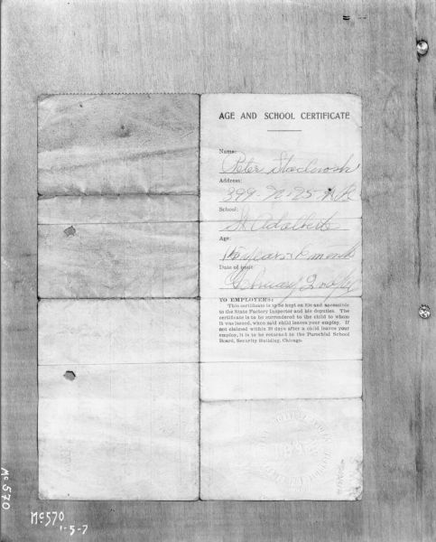 A photograph of an "Age and School Certificate" for "Peter Stacloroski(?)." The certificate is filled in by hand and gives the boy's address as "399 N. 25 A Pl," school "St. Adalbert's," age "15 years & 6 month," and date of issue "February 2nd/06." Below is a statement to employers: "TO EMPLOYERS: This certificate is to be kept on file and accessible to the State Factory Inspector and his deputies.The certificate is to be surrendered to the child to whom it was issued, when said child leaves your employ. If not claimed within 30 days after a child leaves your employ, it is to be returned to the Parochial School Board, Secretary Building, Chicago."