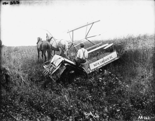 Three-quarter left side view from rear of a man using a team of horses to pull a binder in a field on a steep hillside.
