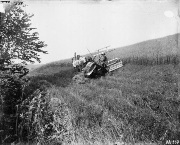 Three-quarter rear view from left side of a man using a horse-drawn binder in a field along the slope of a hill. Trees and plants are in the left foreground.