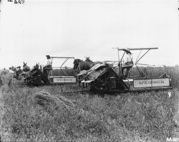A man and a young boy are each driving a horse-drawn binder in a field. A group of four men are standing in the background on the left with sheaves of wheat.