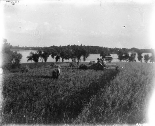 Elevated view of a man using a binder in a field. Sheaves of wheat are distributed in the field, and two other men are standing near the binder. There is a lake and far shoreline in the background.