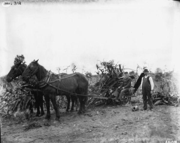 Two men in field with horse-drawn corn binder. The horses are wearing binders and fly-nets.