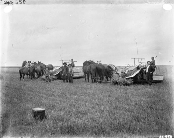 Group of people in a field posing with two horse-drawn McCormick binders. On the right a man stands in front of a woman sitting on a binder. On the left, two boys and two men are standing near another person on a binder. The horses are wearing fly-nets.