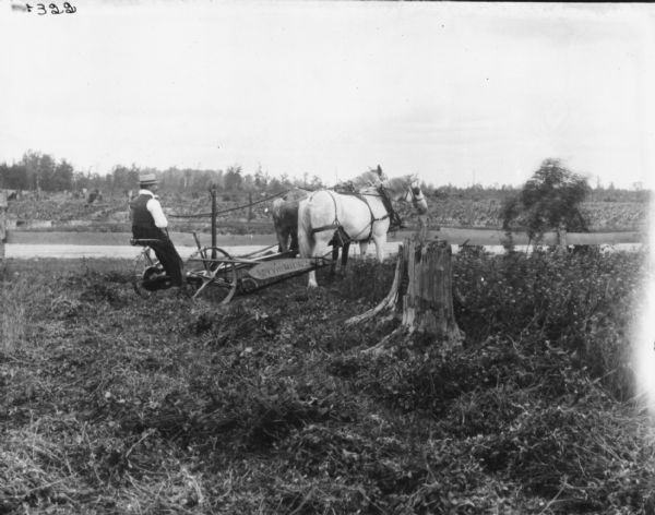 Side view of a man using a horse-drawn McCormick mower in cutover land.