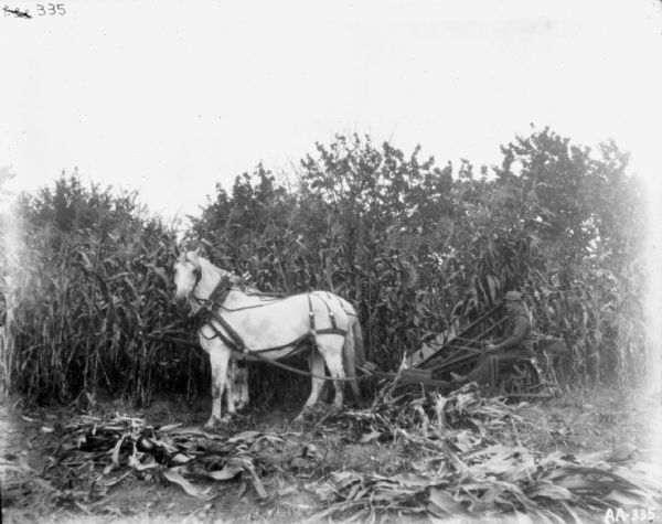 Man using horse-drawn corn binder in a field.