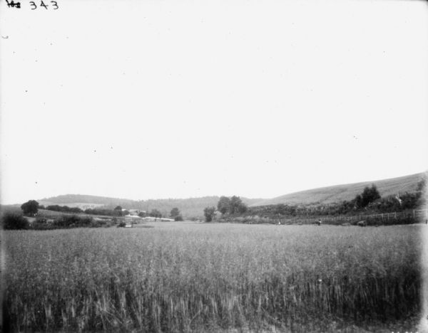 Landscape view across field of a man using a horse-drawn binder on the left. Men are working along a fence on the right. Farm buildings are in the background.