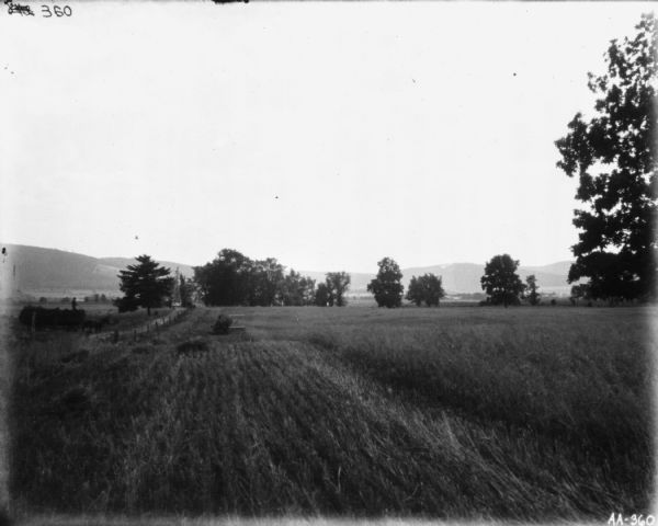 Landscape view down field towards a horse-drawn binder in a field with harvested grain. A man near the road is standing in a horse-drawn wagon on the left. There is a windmill further down the road near trees. Hills are in the far background.