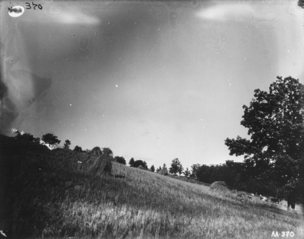View along side of hill towards man using a horse-drawn binder. Sheaves of wheat are scattered along the hill. Two other men are standing near the binder.