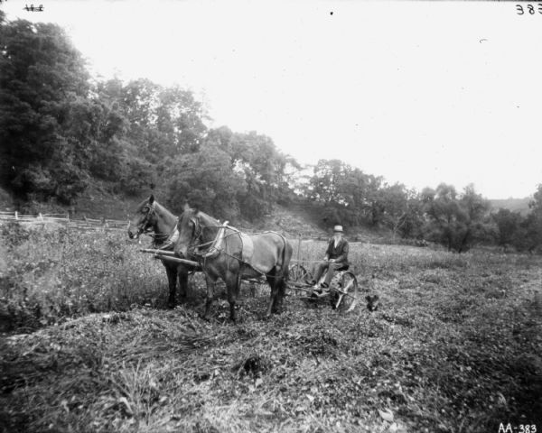 Front view from left of a man using a horse-drawn mower in a field. There is a dog sitting in the grass near the man. A split-rail fence and a hill are in the background.