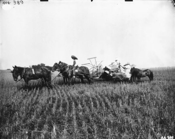 A man wearing a large hat is sitting on one of four horses drawing a horse-drawn binder in a field. Two women and a child are standing at the back of the binder near a pony.