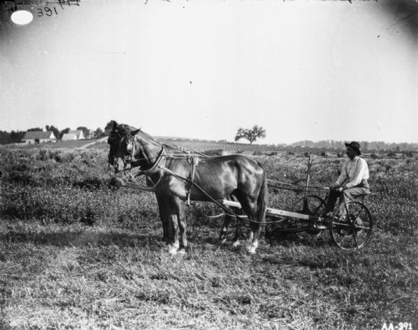 Left side view of a man in field using a horse-drawn mower. Farm buildings are in the background on the left.