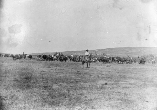 View across field of large group of men with horse-drawn mowers. There is a man on horseback in the center foreground. Men are on horseback and on wagons and also on the horse-drawn mowers in a long line. In the far background is a windmill near a building, and a low range of hills.