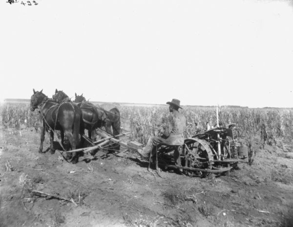 Left side view of a man using three horses to pull a corn binder in a cornfield.