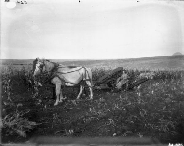 Young boy using a horse-drawn corn binder in a cornfield.
