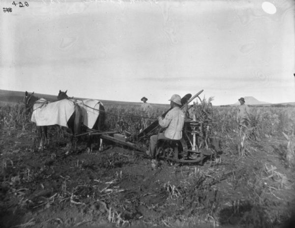 Left side view of a man using a corn binder in a cleared field. Other men are posing in the background. The horses are wearing blankets.