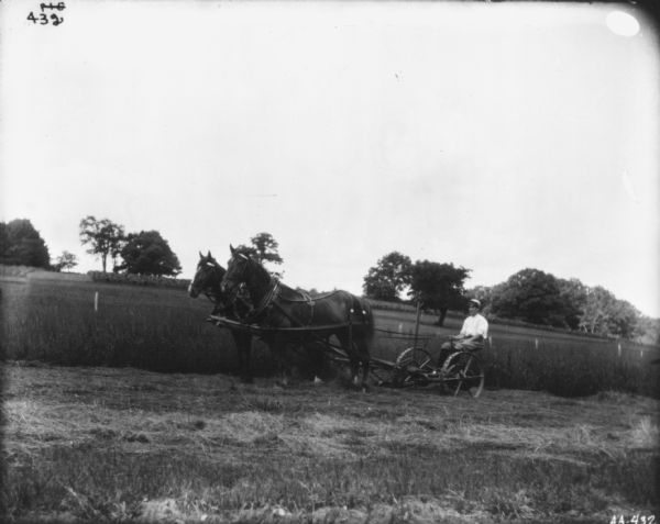 Left side view of a man using a team of horses to pull a mower in a field.