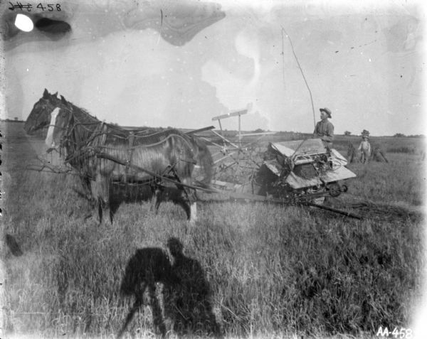 Left side view of a man using a horse-drawn binder in a field. The horses are wearing fly-nets. Another man, or young boy, is standing in the background on the right. The shadow of the photographer is in the foreground.