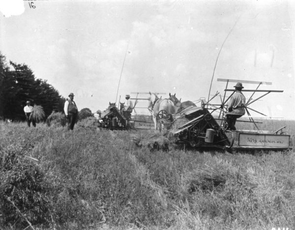 Rear view of men using horse-drawn binders in a field. On the left a man is standing holding a sheaf of wheat, and another man is standing and is wearing a hat and vest.