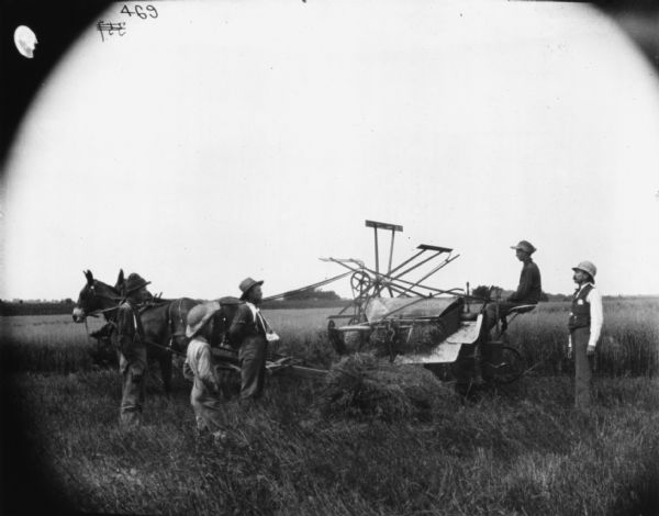 Three men and a boy are standing in a field in front of a young man who is sitting on a mule-drawn McCormick binder.