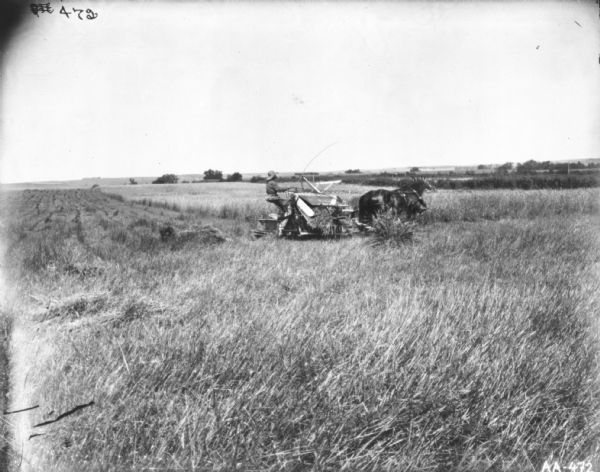 View across field towards a man using a horse-drawn binder.