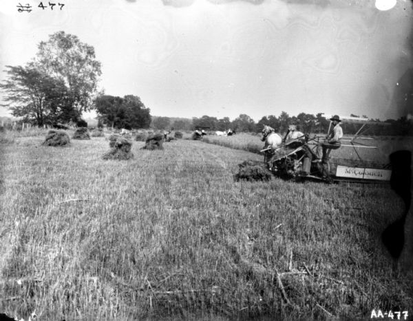 View towards a man using a horse-drawn McCormick binder in a field. Further down the field another man is working with a sheaf of wheat near a horse-drawn buggy.