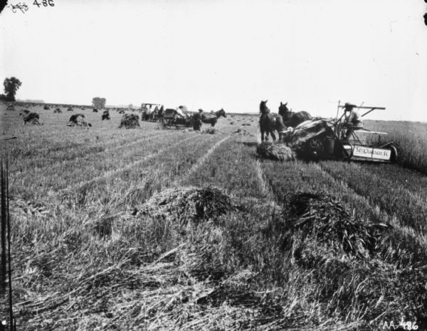 A man is using a horse-drawn McCormick binder in a field. Further down the field on the left are two horse-drawn buggies, with a man standing nearby.