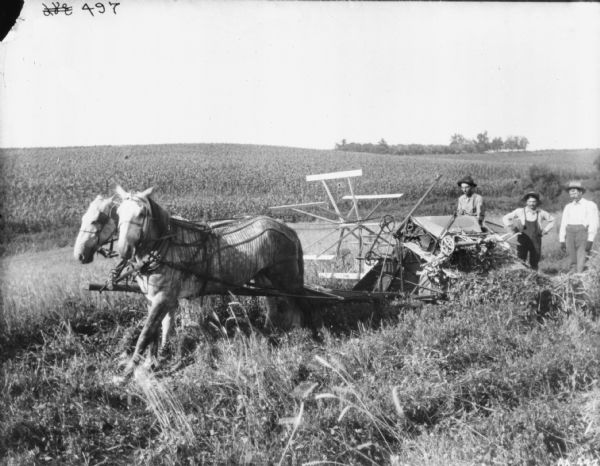 Side view of a man using a horse-drawn binder in a field. The horses are wearing fly-nets. Two men are standing near the back of the binder.