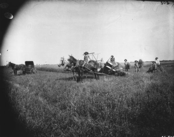 A boy is sitting on one of the horses pulling the horse-drawn binder. A man and three boys are standing on the right holding sheaves of wheat. In the background on the left is a horse-drawn buggy.