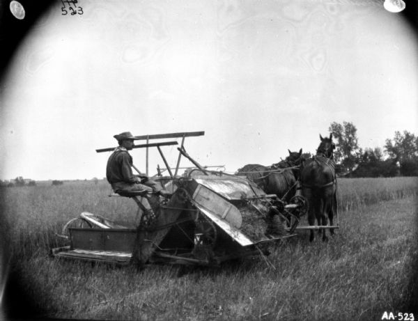 Three-quarter view from right rear of a man using a horse-drawn binder in a field. The horses are wearing fly-nets.