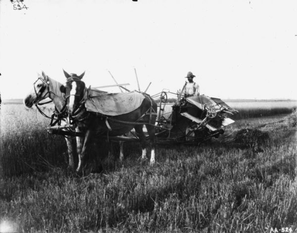 Three-quarter view from front of left side of horse-drawn binder being used by a man (D.R. Robinson?) in a field. The horse in front is wearing a blanket.